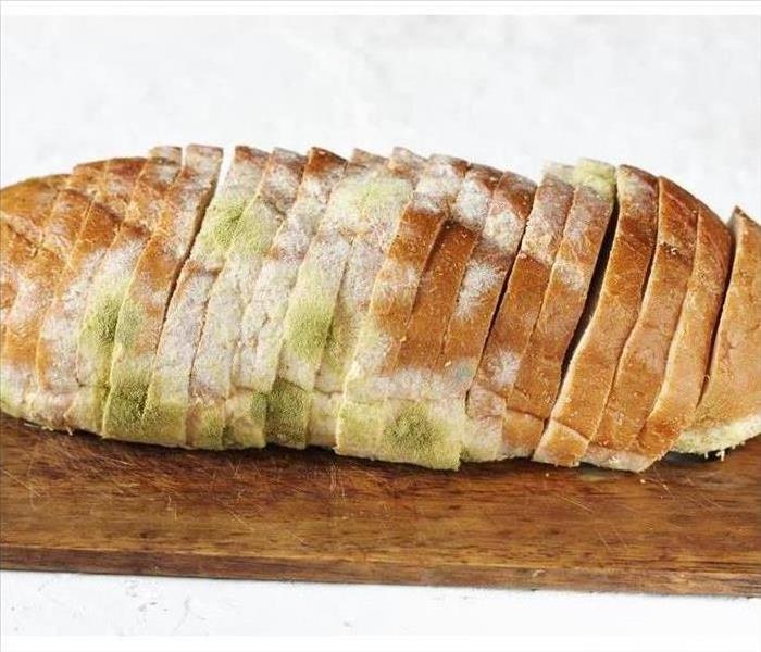 Bread with mold